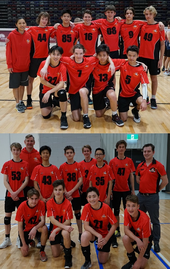 school of dragons member school of dragons member